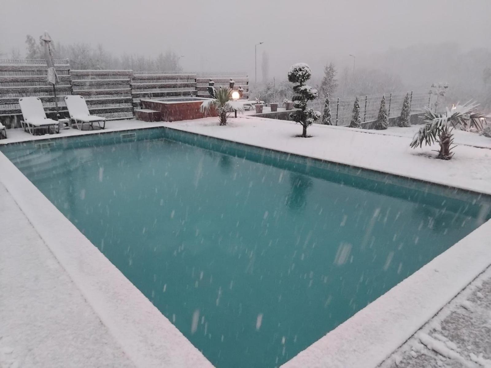 Villa Dimo Topal Охрид Экстерьер фото