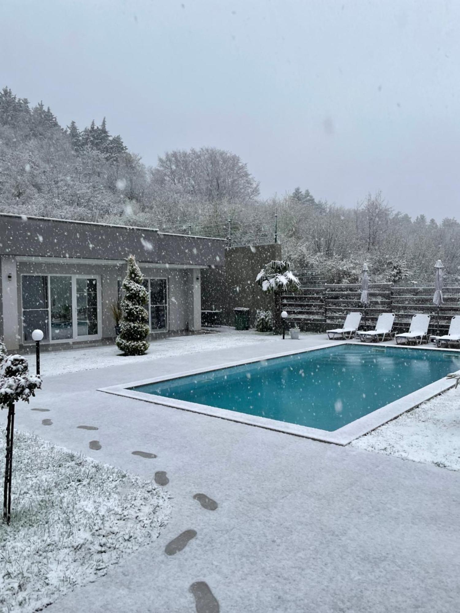 Villa Dimo Topal Охрид Экстерьер фото
